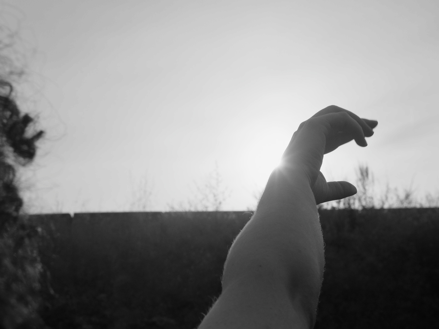 piedra de sol black and white frame for web